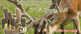 banner quang cao nhung huou