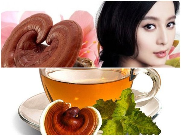 Tác dụng của trà linh chi Hàn Quốc với sức khỏe