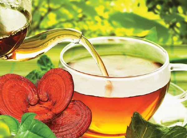 Pha trà nấm linh chi để dùng tác dụng tốt với bệnh máu nhiễm mỡ