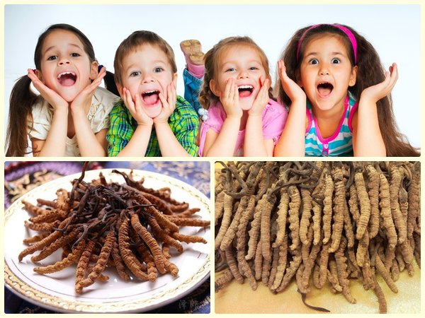 Trẻ biếng ăn có nên sử dụng đông trùng hạ thảo