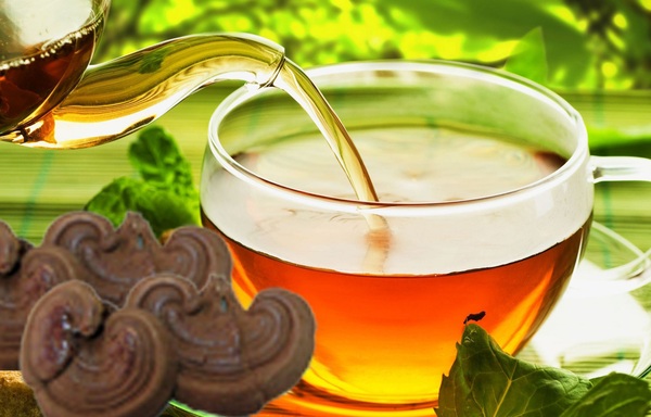  Nấm linh chi rừng pha trà thường có vị đăng khi vừa uống