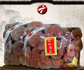 Nấm linh chi bao tử dạng khay Hàn Quốc (khay/1kg) L017 