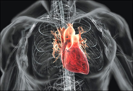 Cao huyết áp có nguyên nhân chủ yếu là do bệnh tim mạch