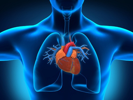 Thuốc bổ tim mạch giúp tim mạch khỏe mạnh