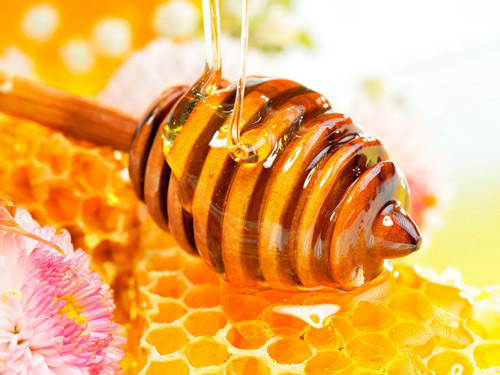 Mật ong kết hợp với nhân sâm rất tốt