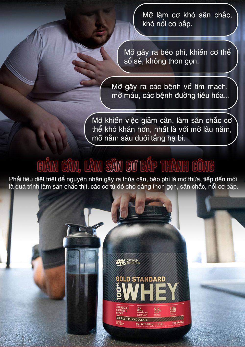 Sữa tăng cơ whey protein