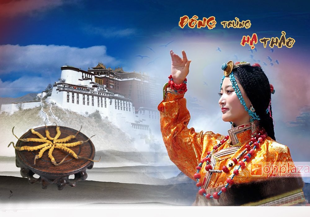 Tạng vương hùng ưng Tây Tạng