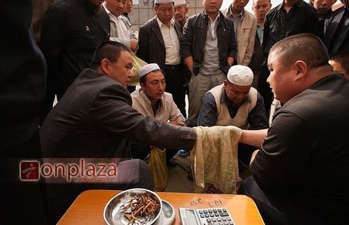 Buôn bán đông trùng hạ thảo tại Tây Tạng